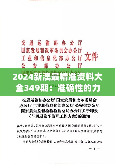 2024新澳最精准资料大全349期：准确性的力量，投资参考指南