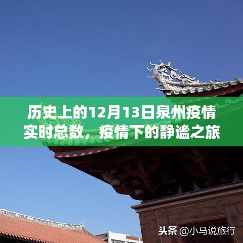 泉州疫情下的静谧探索，美景与内心安宁之旅（实时数据统计）