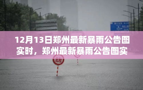 郑州暴雨实时更新，气象动态深度解析与应对策略公告图发布