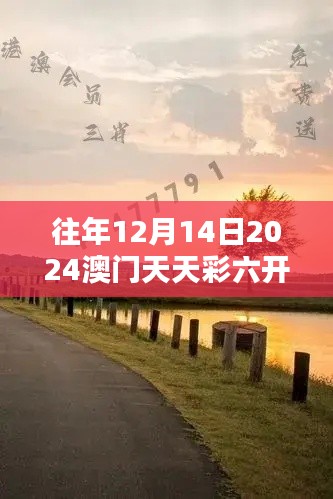 往年12月14日2024澳门天天彩六开彩免费图：澳门彩市的辉煌瞬间