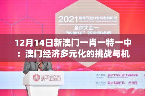 12月14日新澳门一肖一特一中：澳门经济多元化的挑战与机遇