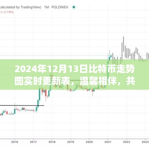 比特币走势图实时更新表，友情相伴，共绘未来比特币走势背后的故事（2024年12月13日）