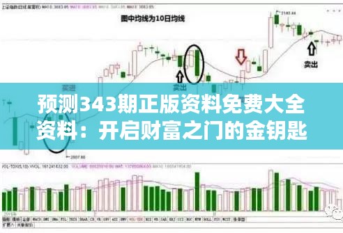 预测343期正版资料免费大全资料：开启财富之门的金钥匙