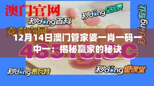 2024年12月14日 第13页