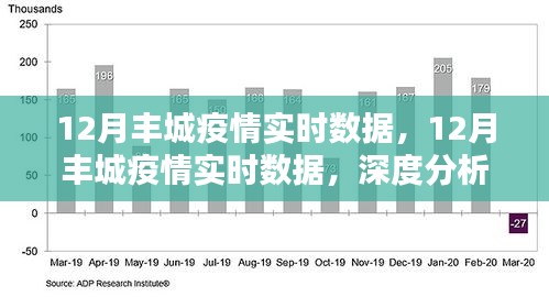 深度解析，丰城疫情实时数据报告与理解