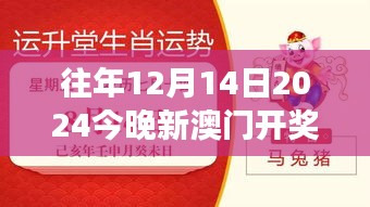 往年12月14日2024今晚新澳门开奖结果：幸运数字的背后故事