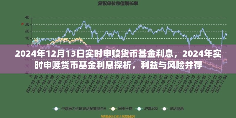 2024年实时申赎货币基金利息探析，利益与风险并存当日解析