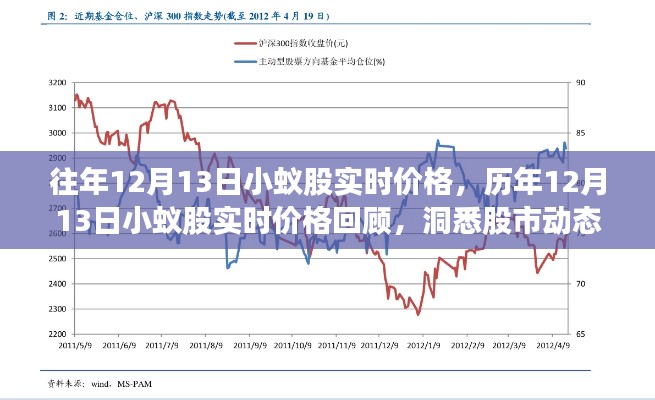 历年12月13日小蚁股实时价格回顾，洞悉股市动态，把握投资脉搏，洞悉小蚁股走势及投资机会！