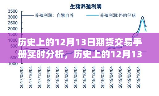 历史上的12月13日期货交易手册实时分析概览与评测报告