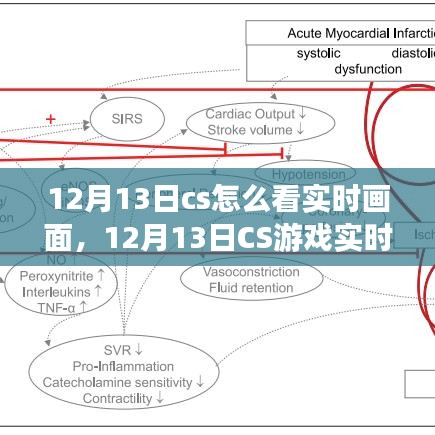 12月13日CS游戏实时画面深度解析与观看体验分享