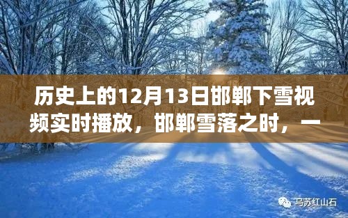 邯郸雪落探秘之旅，寻找内心平静的雪中时光（实时视频回放）