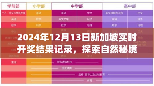 2024年12月15日 第14页