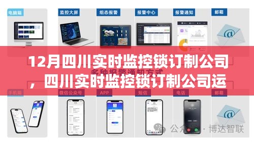 四川实时监控锁订制公司的运营分析及前景展望，利弊权衡与趋势预测