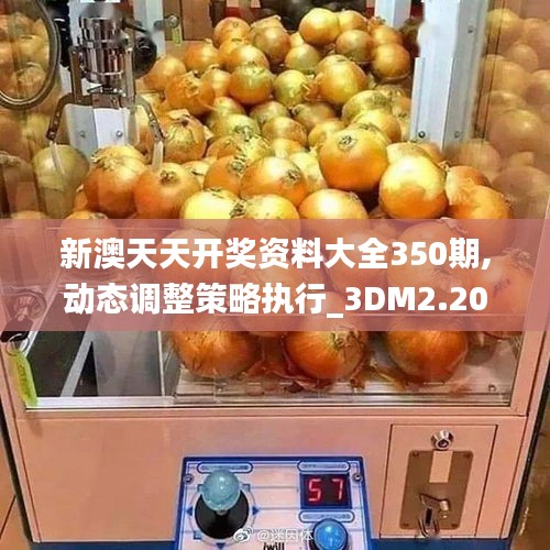 新澳天天开奖资料大全350期,动态调整策略执行_3DM2.204