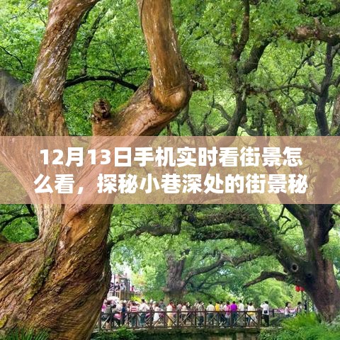 探秘街景秘境，12月13日手机实时看街景，小巷风情一览无余