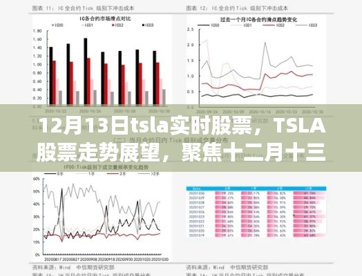 12月13日TSLA股票实时走势深度解读，市场观点与个人立场