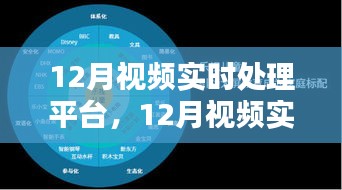 引领新时代视频处理革新之路，揭秘十二月视频实时处理平台