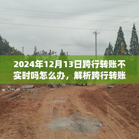 应对跨行转账延迟现象，解析原因与解决方案