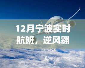 宁波航班启航，逆风翱翔的自信与成就之旅——十二月实时航班动态