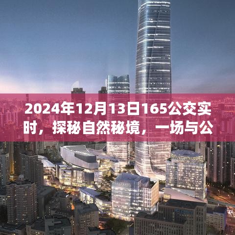 探秘自然秘境，公交165的奇妙之旅在2024年12月13日