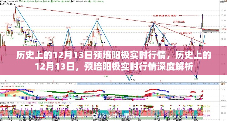 历史上的12月13日预培阳极实时行情深度剖析