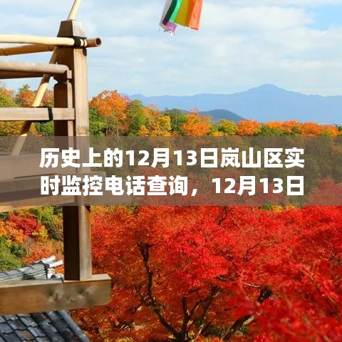 探寻自然美景，寻找内心平静，岚山区之旅的12月13日实录与电话查询系统揭秘