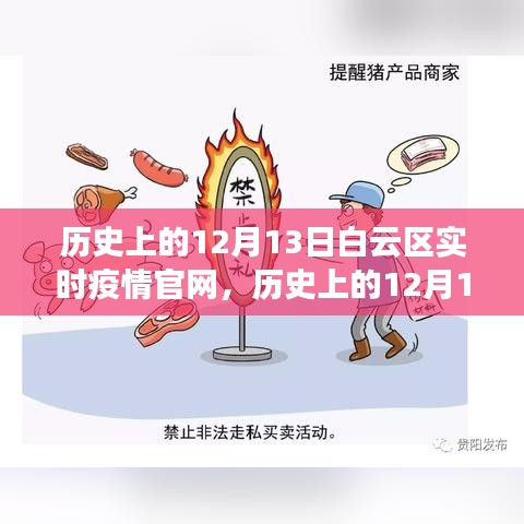 历史上的12月13日白云区实时疫情官网，疫情透明化与公众反应的观察