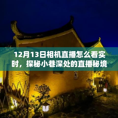 探秘小巷深处的直播秘境，12月13日相机直播实时观赏指南