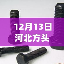 12月13日河北方头螺丝实时报价指南，获取最新报价的实用步骤