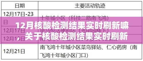 关于核酸检测结果实时刷新问题的探讨，以12月为例的分析与探讨