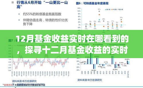 探寻十二月基金收益实时洞察，背景、进展与影响，实时查看基金收益的平台及工具解析