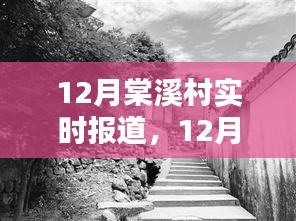 探访古村秘境，棠溪村12月实时报道与详细步骤指南