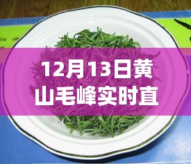 黄山毛峰云端直播盛宴，12月13日实时直播探秘茶韵之旅