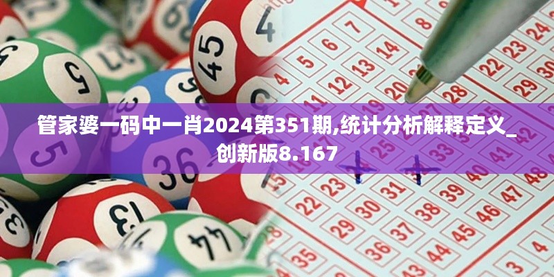 管家婆一码中一肖2024第351期,统计分析解释定义_创新版8.167