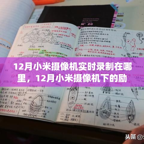 小米摄像机下的励志之旅，实时记录变化，自信与成就感的诞生