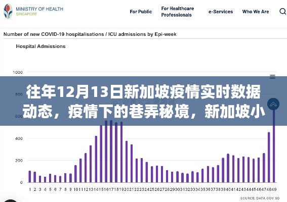 新加坡疫情下的巷弄秘境，实时数据与特色小店之旅