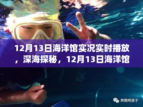 12月13日海洋馆深海探秘直播，寻找内心的宁静蔚蓝之地