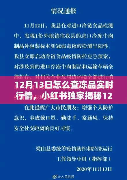 独家揭秘！12月13日冻品行情深度解析，实时动态掌握冻品市场趋势