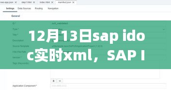 SAP IDOC实时XML解析与应用，最新洞察与高效业务实践（12月13日）