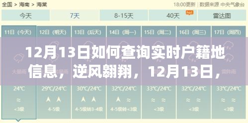 逆风翱翔，揭秘如何在12月13日实时查询户籍地信息励志指南