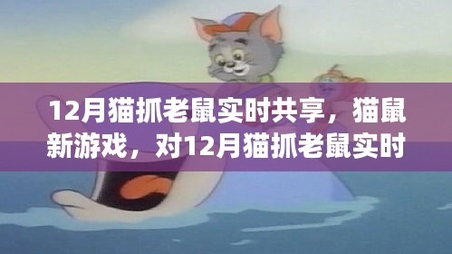 深入探究与观点阐述，猫鼠新游戏——12月猫抓老鼠实时共享的乐趣与挑战