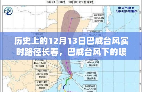 巴威台风下的暖心轨迹，长春温馨故事与实时路径回顾