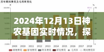 神农基因探秘，2024年12月13日实时风采揭秘基因奥秘深处的小巷风采