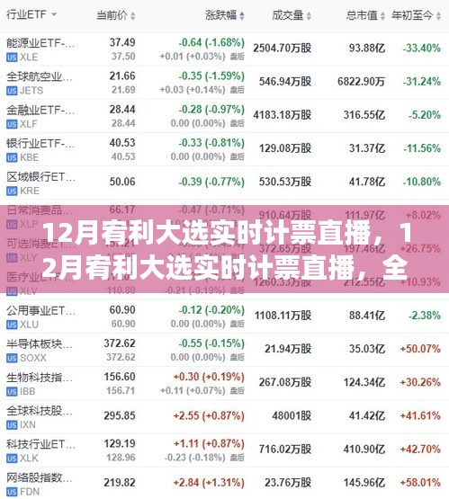 12月宥利大选实时计票直播，全面解读与深度分析