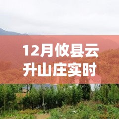 12月攸县云升山庄冬韵实时画面欣赏