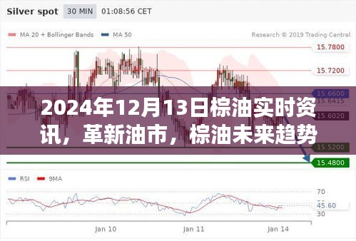 革新油市，智能掌握棕油未来趋势——2024年智能棕油实时资讯系统前沿体验报告