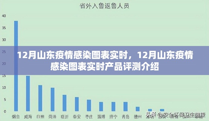 12月山东疫情感染图表实时更新与产品评测介绍