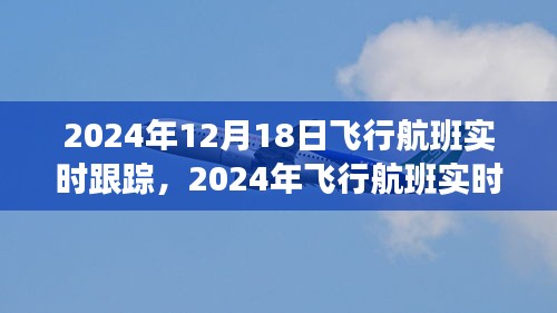 全方位指南，从初学者到进阶用户——2024年飞行航班实时跟踪教程