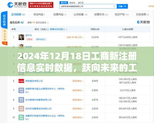 2024年12月18日 第24页