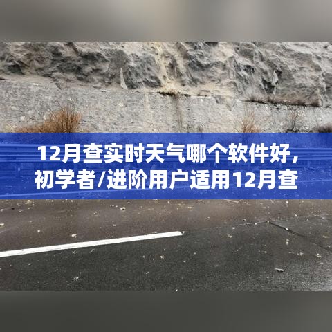 初学者与进阶用户适用的12月实时天气预报软件推荐，选择指南与详细步骤解析